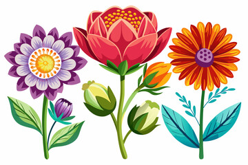 Set of Flower Vectors in Different Styles on White Background