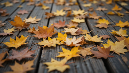 Obraz premium Autumnal Carpet: Captured in a captivating overhead view, a vibrant collection of fallen leaves in various shades of gold, rust, and amber cascade over a weathered wooden surface.