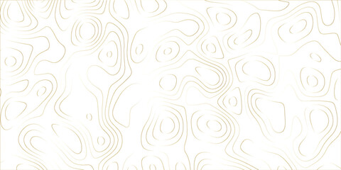 Artistic digital abstract background with complex organic textures, fluid line intersections, and a contemporary overlay effect

