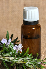 A brown glass bottle of rosemary essential oil with a white cap, surrounded by fresh green rosemary sprigs and light purple flowers on a textured beige background. 
