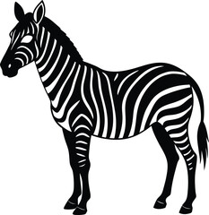 zebra vector illustration