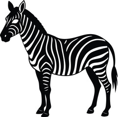zebra vector illustration
