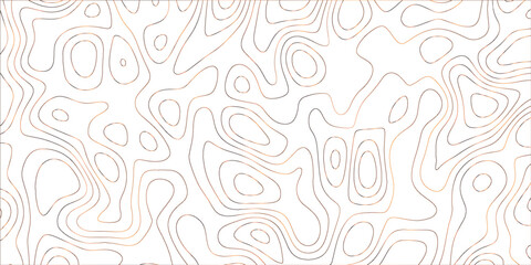 Sophisticated digital abstract background featuring layered organic structures and interlaced linework for contemporary projects

