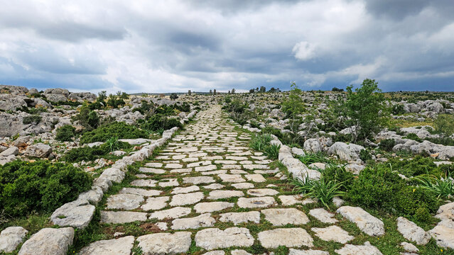 In Saglikli, Tarsus, Mersin, a view of the ancient Roman road which is 3 m wide and 3 km long. Curbstones are still intact, showcasing its historical significance.