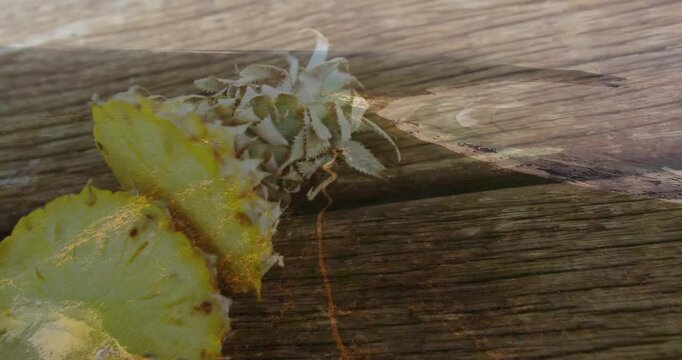 Pineapple slices on wooden surface with tropical leaves creating animation effect