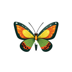 Fototapeta premium Cute butterfly with patterned wings, icon