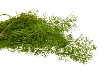 dill isolated on white background