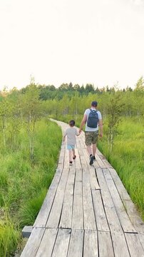 Back view of man with child  walking in wildlife national park. Wooden boardwalk through dried-up swamp with birch trees. Concept of ecotourism, hiking, travel with children. Vertical video footage.