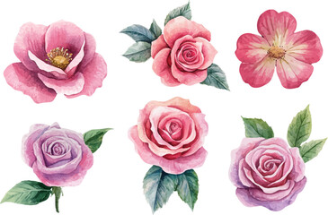 Fototapeta premium Romantic Watercolor Pink Rose Bouquet