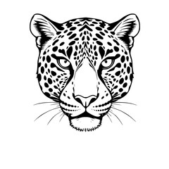 Leopard Head Vector Illustration Black and White Line Art Drawing