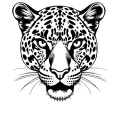 Jaguar Head Vector Illustration Black and White Graphic