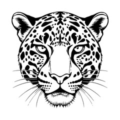 Leopard Face Illustration Black and White Vector