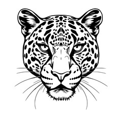 Leopard Head Vector Illustration Black and White Line Art