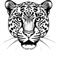Leopard Head Vector Illustration Black and White Line Art Portrait