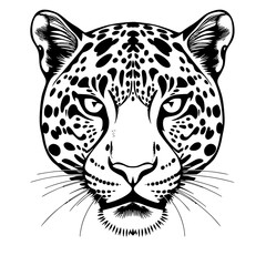 Jaguar Head Vector Illustration Black and White