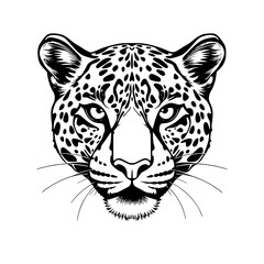 Leopard Face Illustration Black and White Graphic