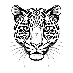 Leopard Head Black and White Line Art Illustration