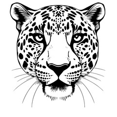 Leopard Head Vector Illustration Black and White Line Art