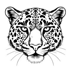 Leopard Head Vector Illustration Black and White