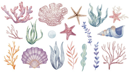 Watercolor set of Seaweed, Corals, and ocean plants in soft pastel tones. Illustration of underwater elements for design in nautical style. Marine clipart for invitations or greeting cards.