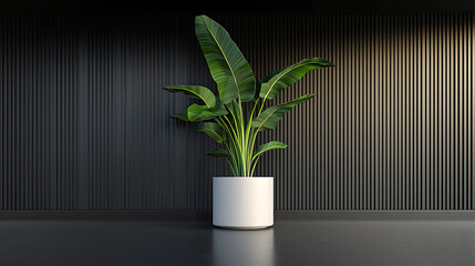 A large potted plant sits in a white planter in front of a black wall