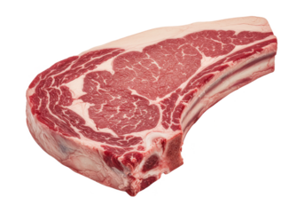 A close up view of a raw ribeye steak with marbling isolated on transparent background