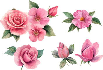 Hand-Painted Watercolor Pink Rose Clipart