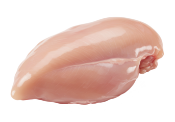 A single raw chicken breast isolated on transparent background