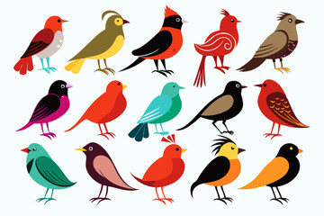 Colorful Bird Vector and Silhouettes on White Background