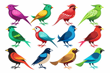 Obraz premium Colorful Bird Vector and Silhouettes on White Background