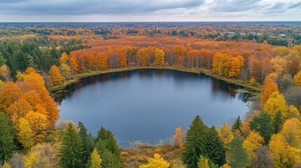 Naklejka premium Autumn lake surrounded by colorful forest