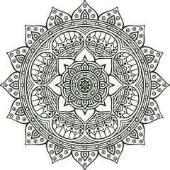 Beautiful flower art and mandala vector design