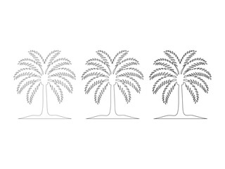 Hand-Drawn Palm Tree Sketch Vector Set, Palm Tree Outline 