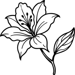 Fototapeta premium black and white flowers