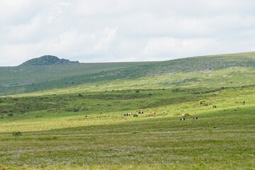 Empty landscape and rugged terrain in Dartmoor National Park in Devon England is an ideal destination for long distance hiking