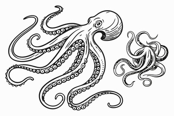 Fototapeta premium Tentacles of an octopus. Hand drawn vector illustration in engraving technique isolated white background