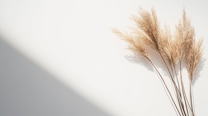 Minimalist boho sun design with gradient tones, evoking serene natural harmony.