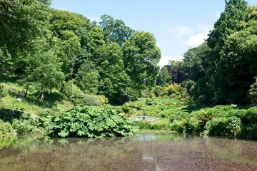 Falmouth England - 10 June 2024 - Trebah Garden is a large sub-tropical garden situated in Cornwall England