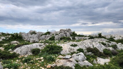 In the northwest of Sağlıklı neighborhood in Tarsus, Mersin, the remnants of an ancient Roman settlement immerse visitors in the mysteries of history, transporting them 1,500 years back in time.
