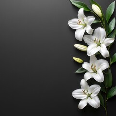 Obraz premium Elegant White Lily Arrangement on Dark Background Serene Floral Composition with Copy Space for Text and Design
