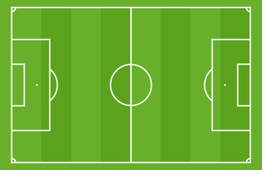 Soccer pitch with goal and playground lines. Stadium grass texture and football court. Flat vector illustration isolated on white background.