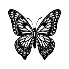 Butterfly silhouette vector Designs 2