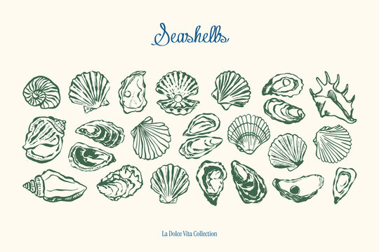 Minimal sketch style vector illustration collection. Seashells doodles. Art for postcards, print posters, packaging design.	