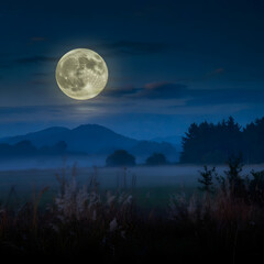 Fototapeta premium a beautiful moon