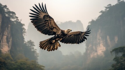 Fototapeta premium Majestic eagle in flight over misty mountains.