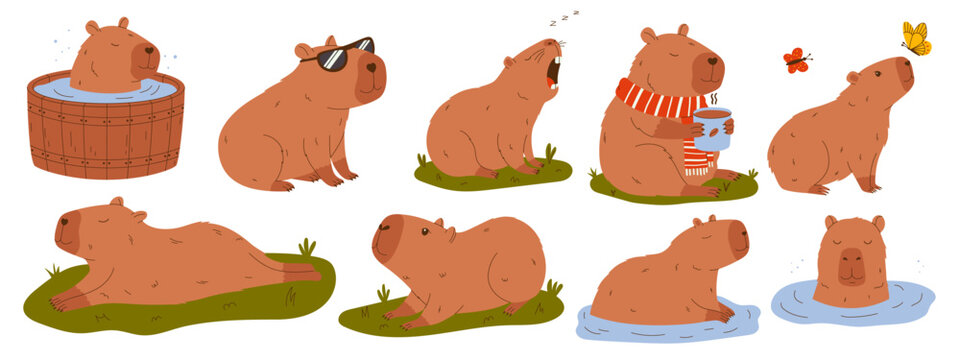 Cute capybaras in various poses. Set of rodent characters swimming in pond, relaxing, walking, sleeping, drinking coffee. Hand drawn vector illustration.