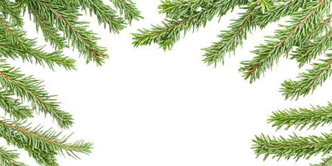 Obraz premium Fire Branch Background on transparent background