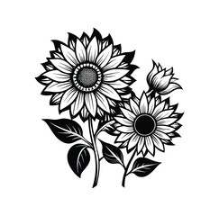 Sunflower Black And White Stock Vectors, Clipart and Illustrations 13.eps