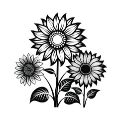 Sunflower Black And White Stock Vectors, Clipart and Illustrations 18.eps