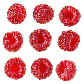 My Sweet Raspberry